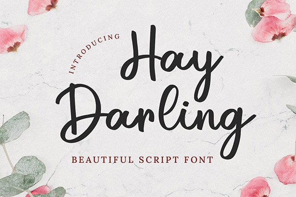 Hay Darling: A Script Font for Modern Web Design