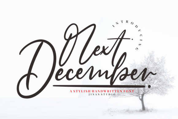 Next December: A Stylish Script Font for Modern Branding