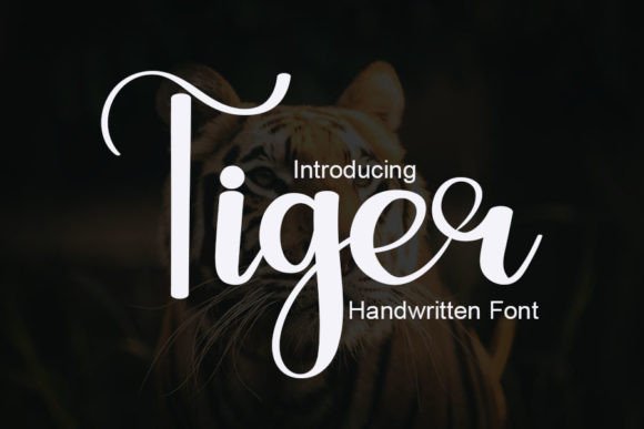 Tiger Font for Polished Branding
